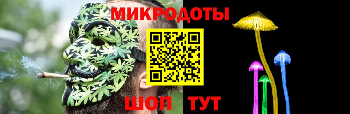 Псилоцибиновые грибы MAGIC MUSHROOMS  купить наркотик  Стерлитамак  Вход с VPN 